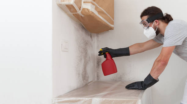 Professional Attic Mold Remediation technician working in Howell, MI