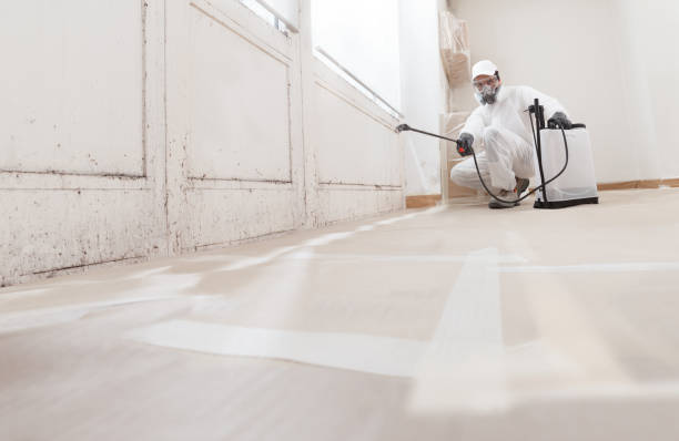 24/7 Emergency Attic Mold Remediation experts in Howell, MI